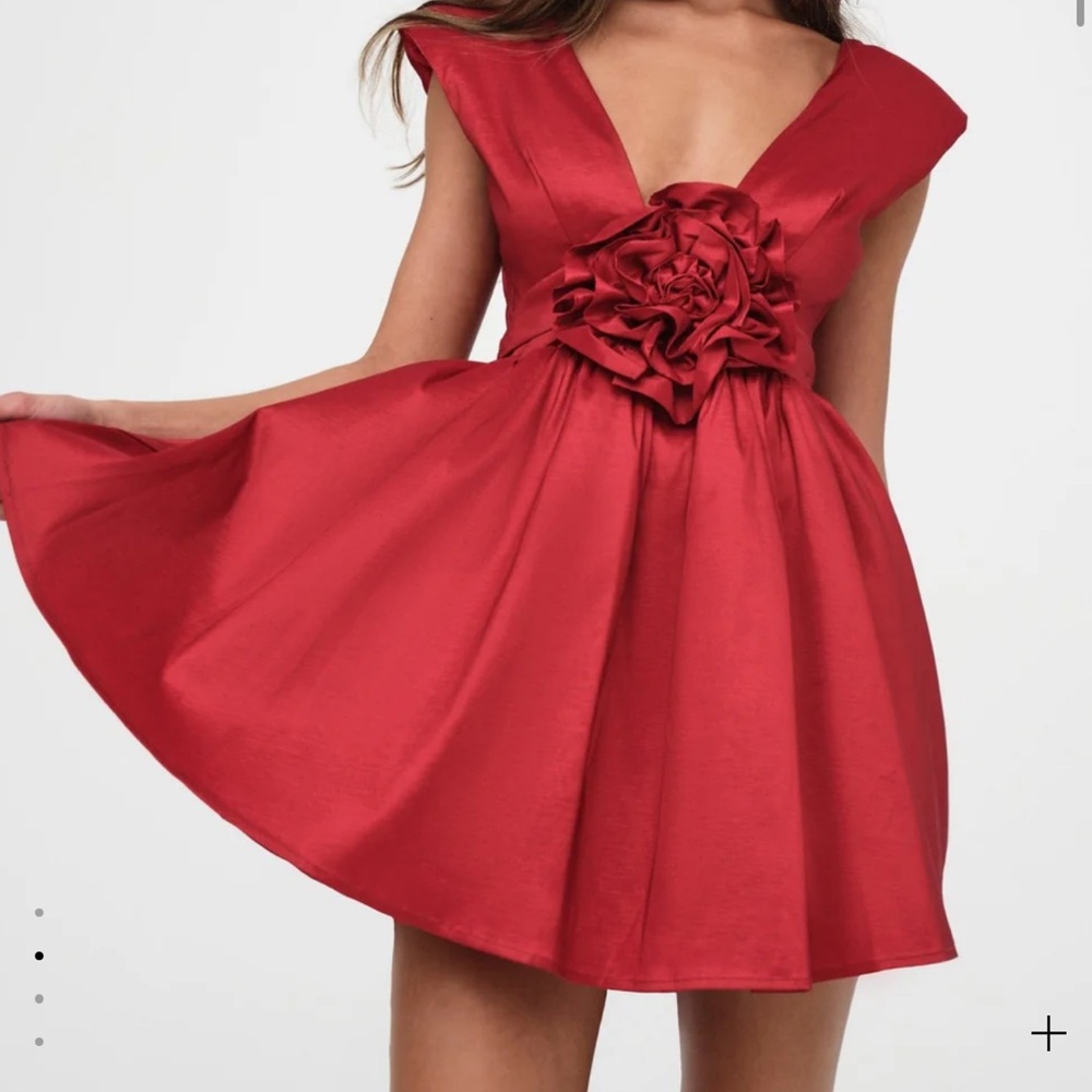 NWT Rose Mini Dress - Picture 2 of 6
